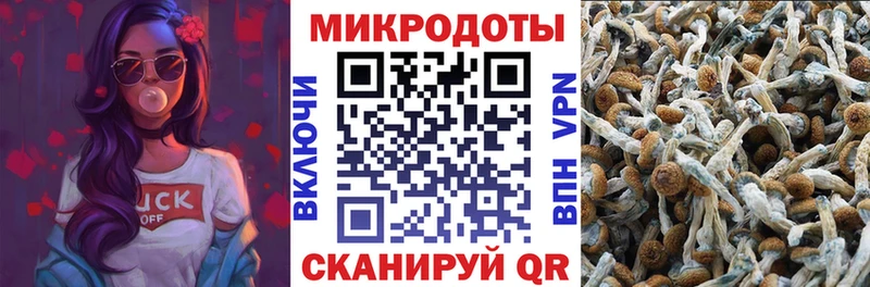 Галлюциногенные грибы мицелий  Грозный 